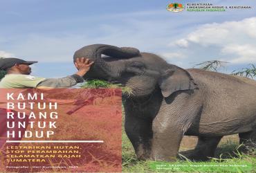 Selamatkan Gajah Sumatera 1
