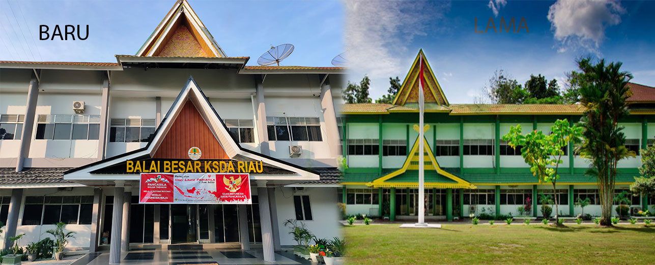 Balai Besar KSDA Riau
