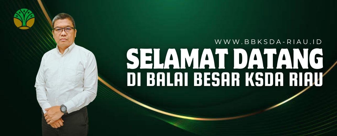 Supartono, S.Hut., M.P.