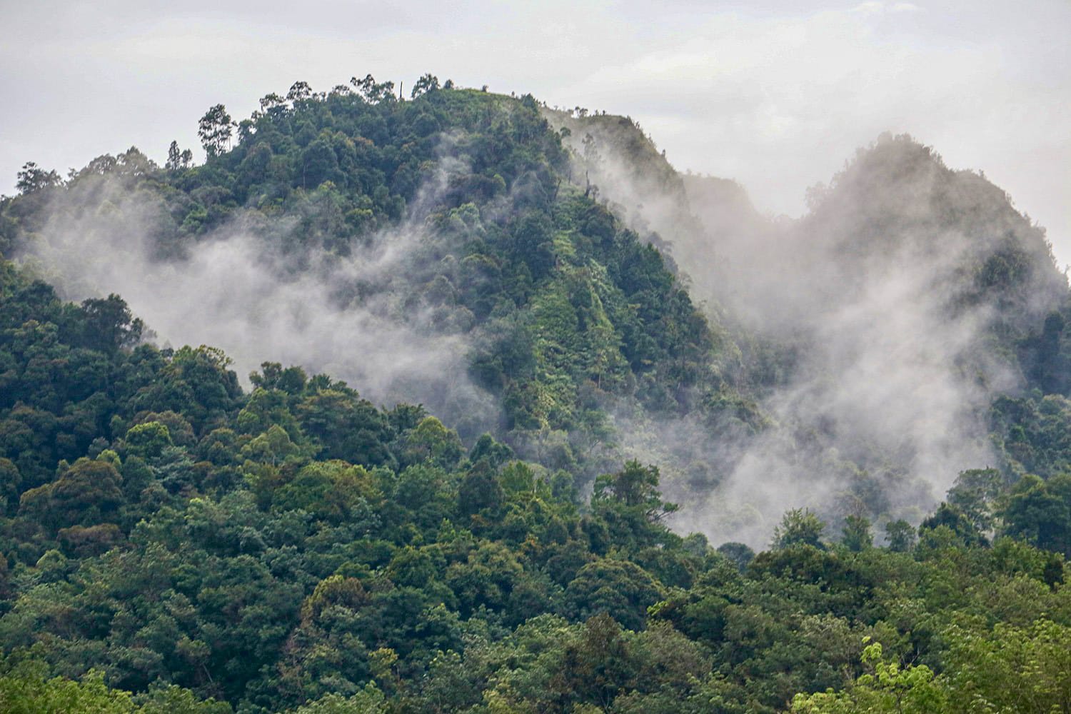 Taman Nasional Zamrud