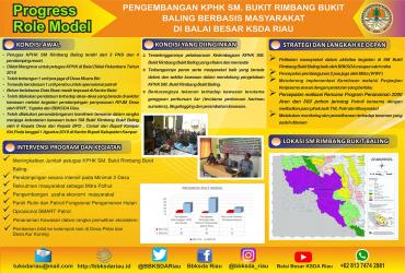 Infografis Progres Role Model SM. Bukit Rimbang Bukit Baling