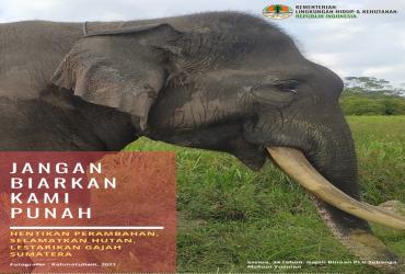 Selamatkan Gajah Sumatera 2