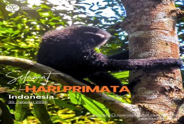 Selamat Hari Primata 2026