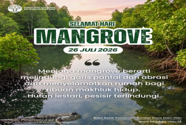 Selamat Hari Mangrove 2026