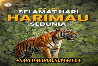 Selamat Hari Harimau Sedunia