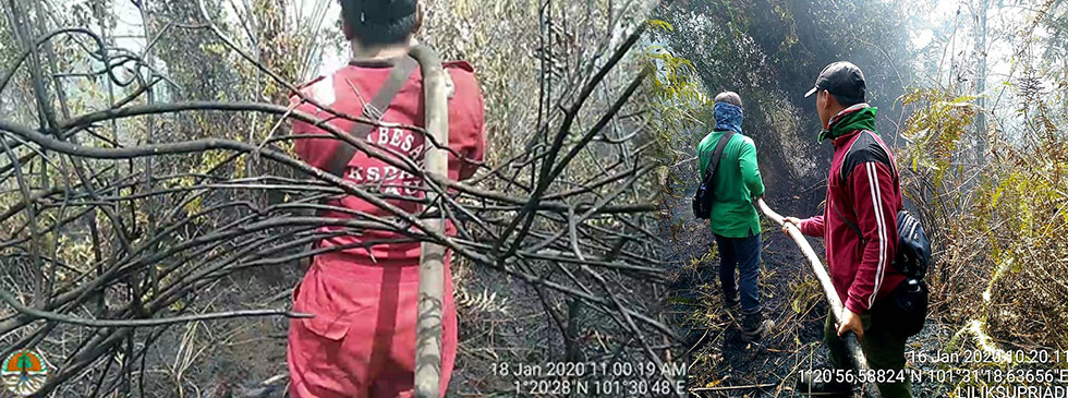 PEMADAMAN DI KAWASAN SM GIAM SIAK KECIL TERUS DILAKUKAN OLEH PETUGAS BALAI BESAR KSDA RIAU