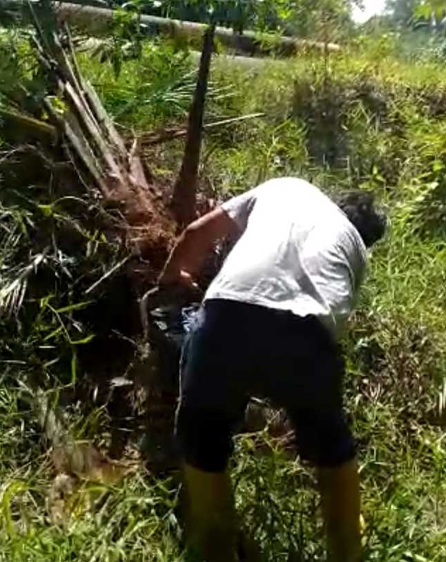 PATROLI  PENGAWASAN  DAN PENGAMANAN DI TWA. SUNGAI DUMAI