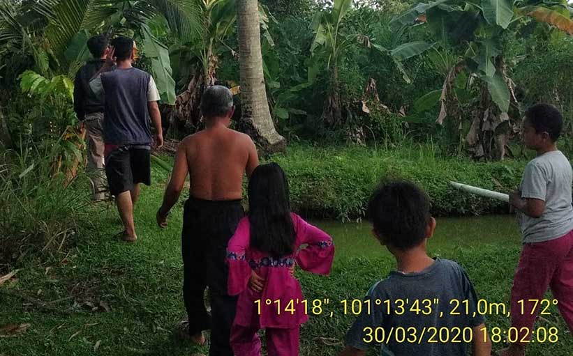 GANGGUAN SATWA BERUANG MADU (HELARCETOS MALAYANUS)