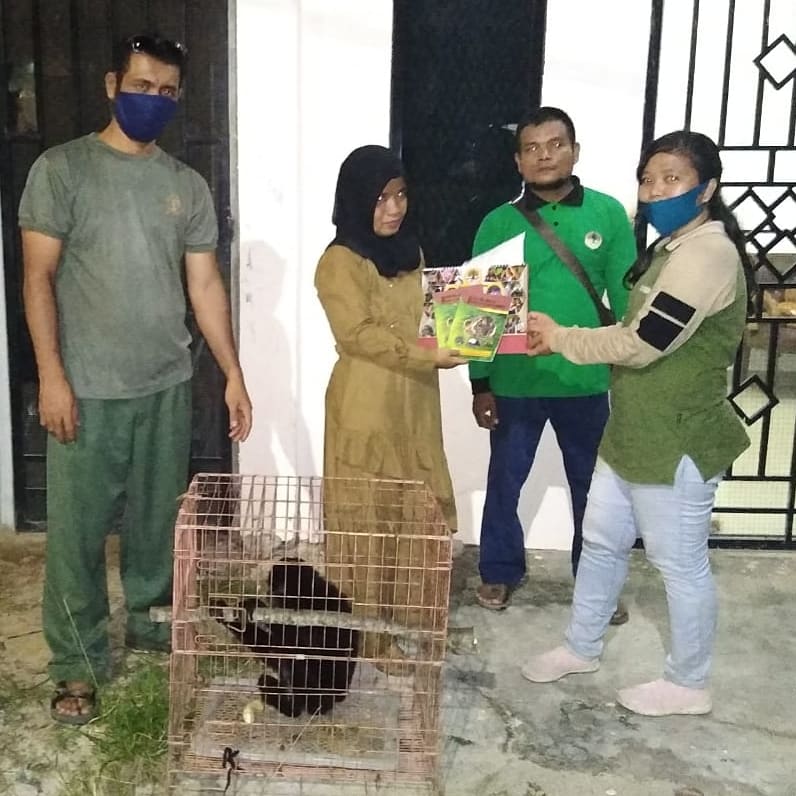 WARGA SERAHKAN SEEKOR UNGKO KE BALAI BESAR KSDA RIAU