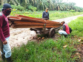 RESORT SIAK BALAI BESAR KSDA RIAU PATROLI MANDIRI DI SM GIAM SIAK KECIL