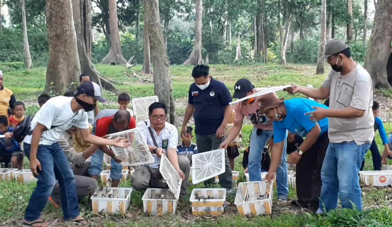 PELEPASLIARAN BURUNG DI TAMAN WISATA ALAM BULUH CINA