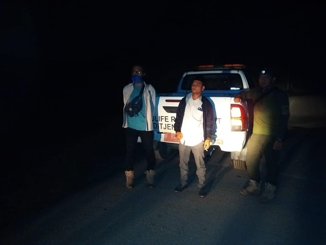 PENANGANAN KONFLIK BERUANG MADU DI KECAMATAN KOTO GASIB, KABUPATEN SIAK