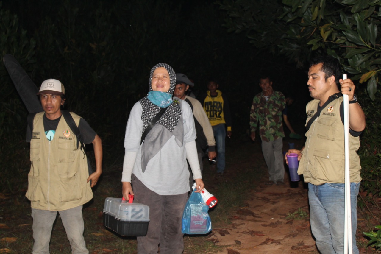 EVAKUASI GAJAH SUMATERA DI KECAMATAN TANAH PUTIH TANJUNG MELAWAN, KABUPATEN ROKAN HILIR