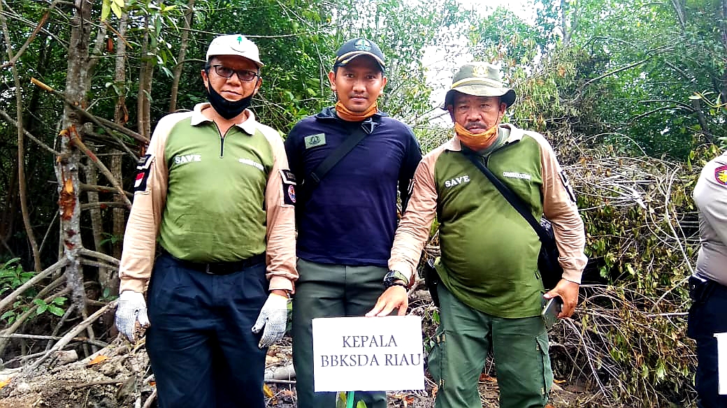 PENANAMAN MANGROVE DI KAMPUNG KAYU ARA PERMAI, KECAMATAN SUNGAI APIT, KABUPATEN SIAK