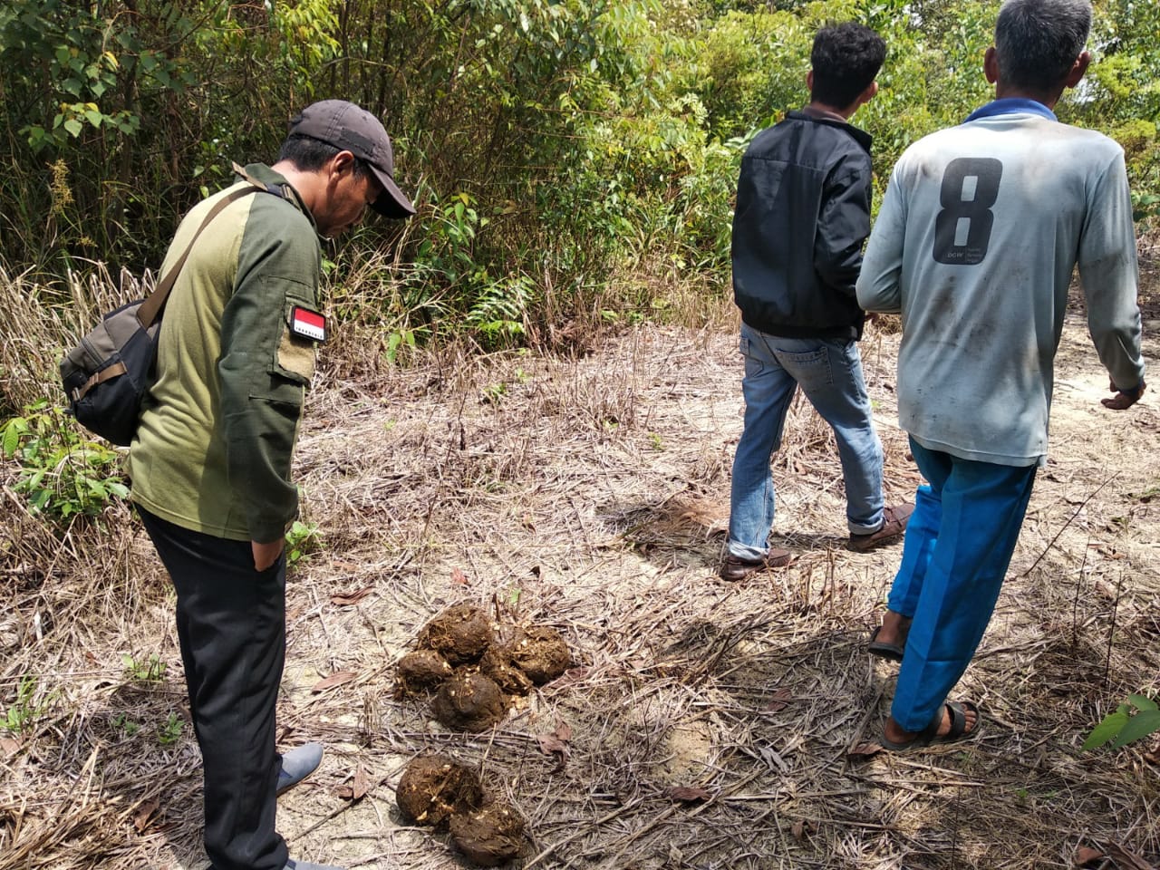PENANGANAN KONFLIK GAJAH SUMATERA DI KECAMATAN MANDAU, KABUPATEN BENGKALIS