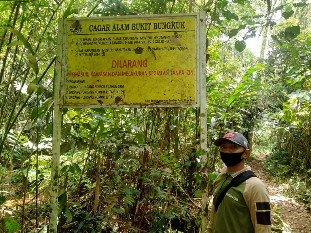Upaya Perlindungan Dan Pengamanan Oleh Resort Kampar Di Cagar Alam Bukit Bungkuk, Kabupaten Kampar | Bbksda Riau
