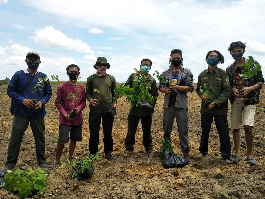 KOLABORASI PENGHIJAUAN KAWASAN SUAKA MARGASATWA BALAI RAJA, KABUPATEN BENGKALIS