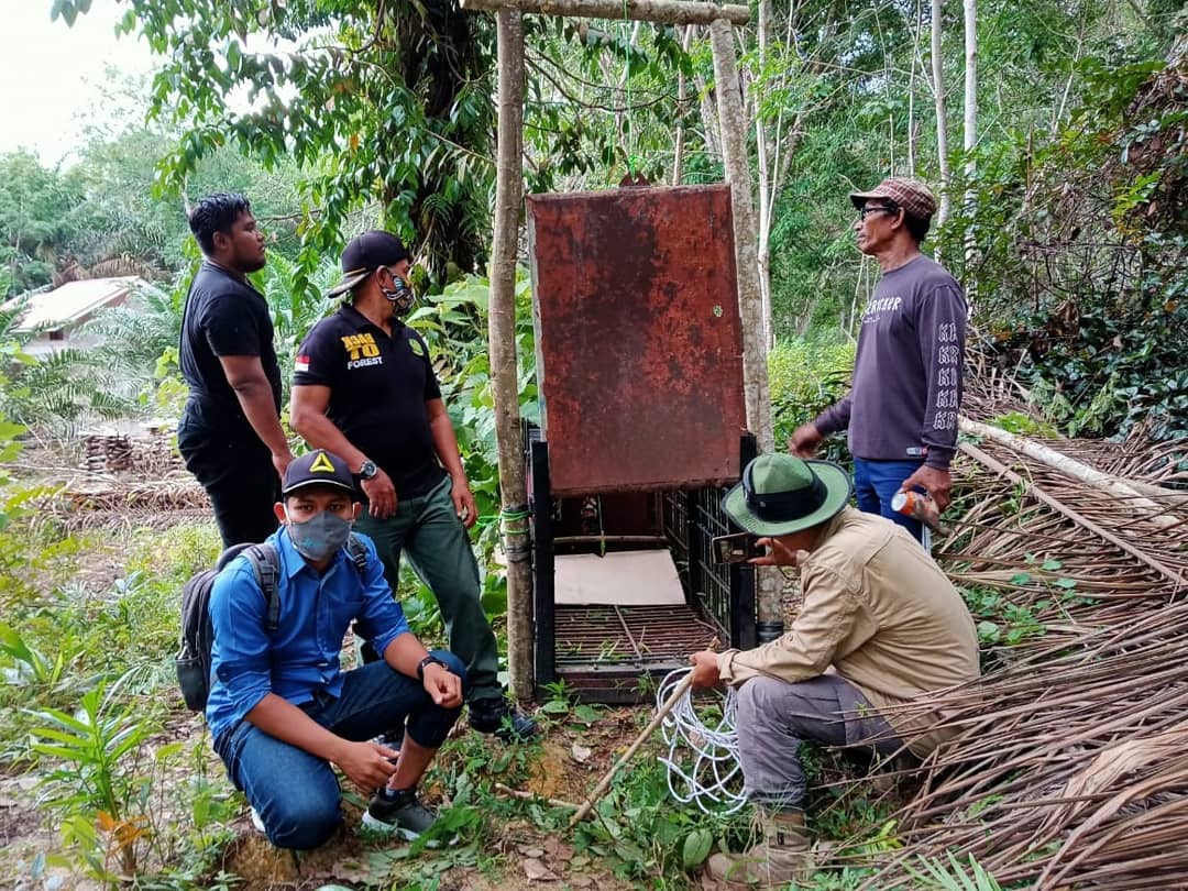 PENANGANAN KONFLIK BERUANG MADU DI DESA BERAS  BERAS, KECAMATAN LUBUK BATU JAYA, KABUPATEN INDRAGIRI HULU