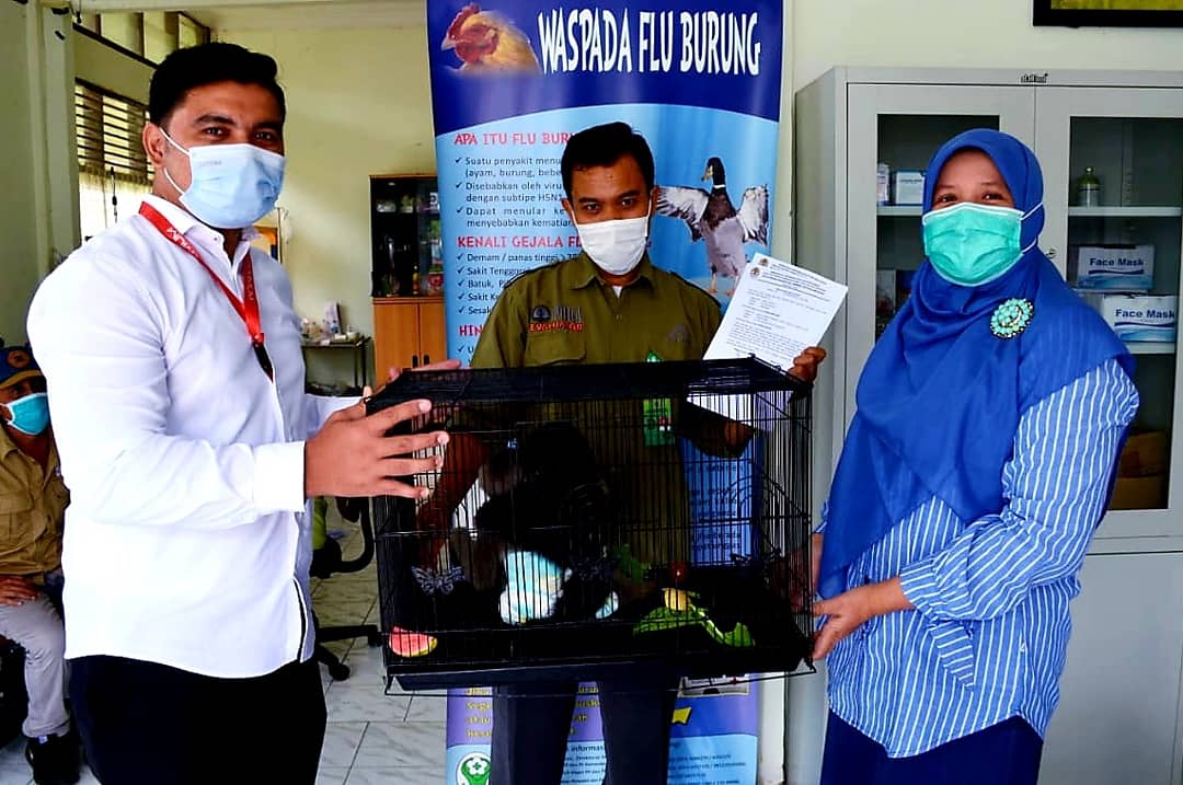 PENYERAHAN SATWA LIAR DILINDUNGI OLEH DITRESKRIMUM POLDA RIAU