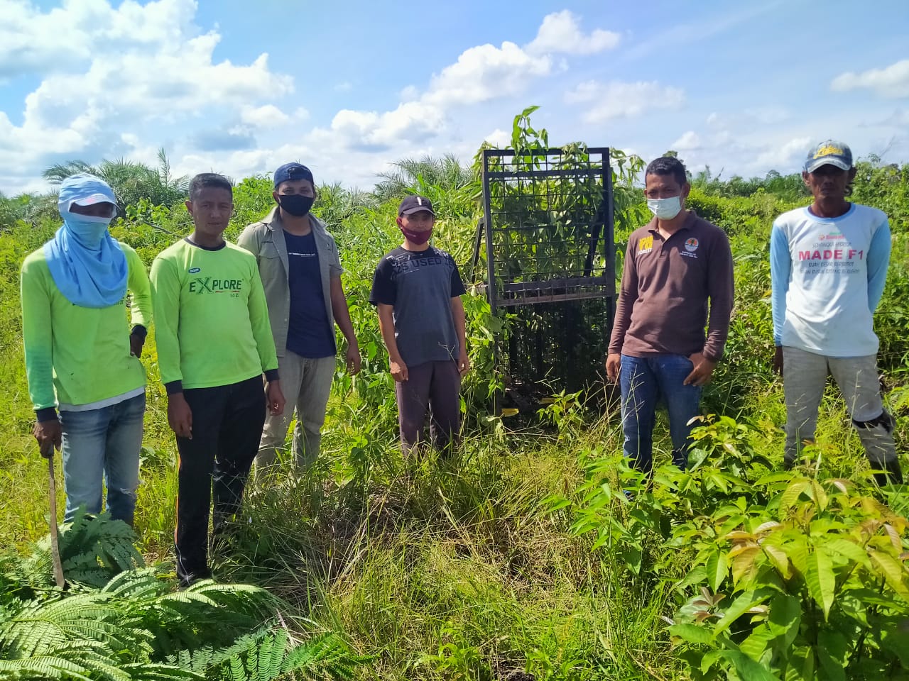PENANGANAN KONFLIK BERUANG MADU DI KECAMATAN KEPENUHAN, KABUPATEN ROKAN HULU