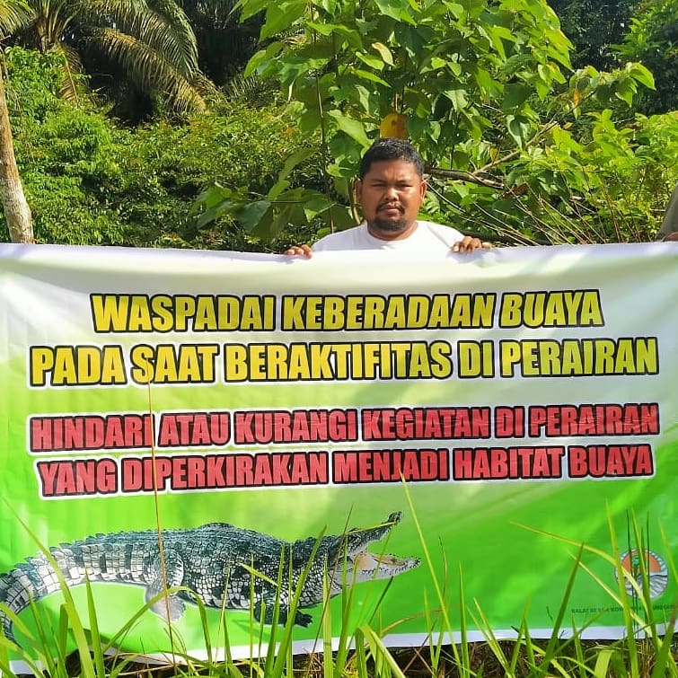 KEMUNCULAN BUAYA DI SUNGAI ROKAN, PETUGAS BALAI BESAR KSDA RIAU SEGERA TURUN MENGIDENTIFIKASI