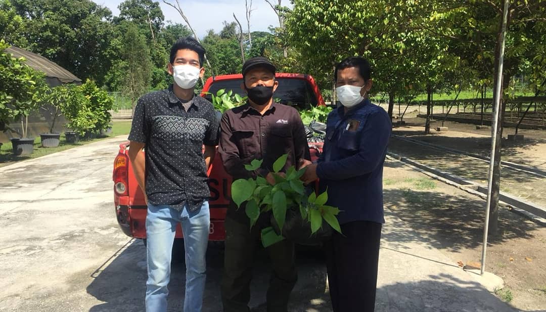 PENYERAHAN BANTUAN BIBIT KE MASYARAKAT SEKITAR SUAKA MARGASATWA BUKIT RIMBANG BUKIT BALING, KABUPATEN KAMPAR