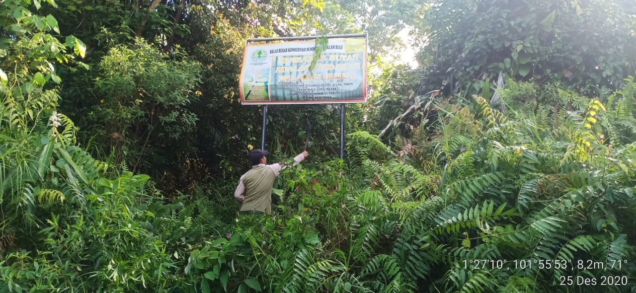 TANGGAL MERAH, PETUGAS RESORT BUKIT BATU TETAP MELAKUKAN PATROLI KAWASAN SM BUKIT BATU, KABUPATEN BENGKALIS