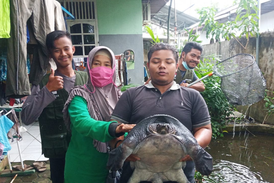 SEKSI KONSERVASI WILAYAH IV BERSAMA MITRA MELAKUKAN PENYELAMATAN LABI - LABI