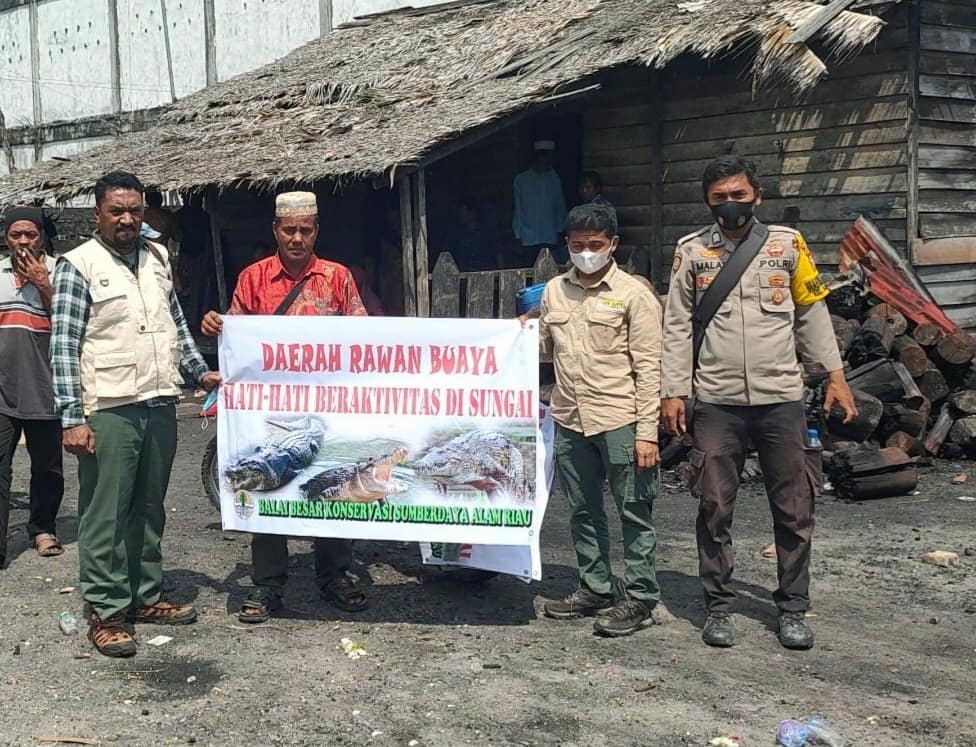 BUAYA MENERKAM BURUH BONGKAR KAYU UNTUK BAHAN ARANG DI SUNGAI SENEPIS