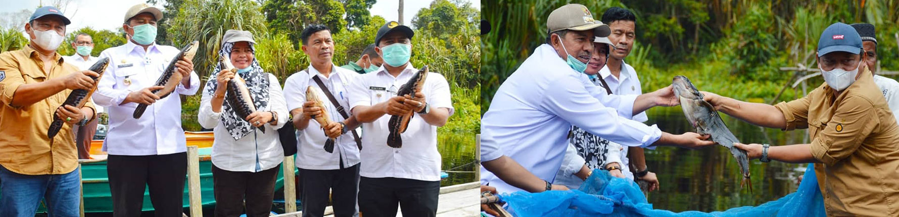 PANEN RAYA IKAN KEMITRAAN KONSERVASI DIHADIRI BUPATI SIAK DAN KEPALA BALAI BESAR KSDA RIAU