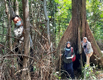 SEKSI KONSERVASI WILAYAH II BALAI BESAR KSDA RIAU LAKUKAN INVENTARISASI TEGAKAN POHON DI TAMAN WISATA ALAM MUKA KUNING