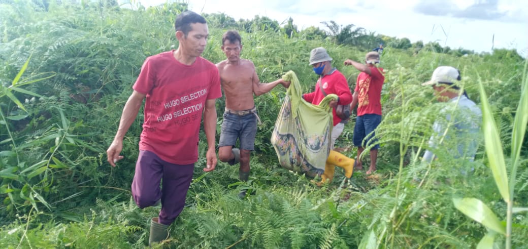 BALAI BESAR KSDA RIAU LAKUKAN PENANGANAN KONFLIK SATWA LIAR HARIMAU SUMATERA DENGAN MANUSIA DI WILAYAH SENEPIS BERSAMA PARA PIHAK