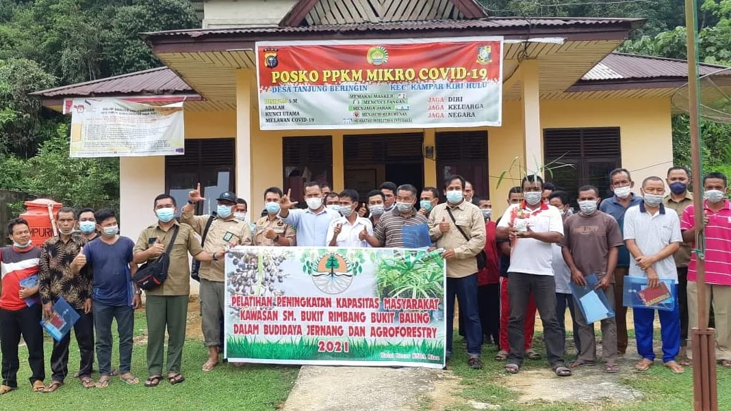 PELATIHAN PENINGKATAN KAPASITAS MASYARAKAT KAWASAN SM. BUKIT RIMBANG BUKIT BALING DALAM BUDIDAYA JERNANG DAN AGROFORESTRY 2021