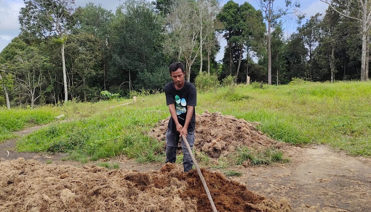 AKTIVITAS PLG MINAS DALAM MEMANFAATKAN KOTORAN GAJAH JINAK