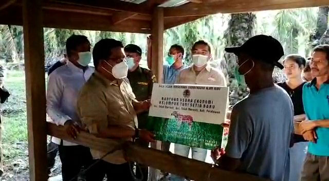 KELOMPOK TANI DI SEKITAR KAWASAN SM KERUMUTAN DAPAT BANTUAN 4 EKOR SAPI DARI BBKSDA RIAU