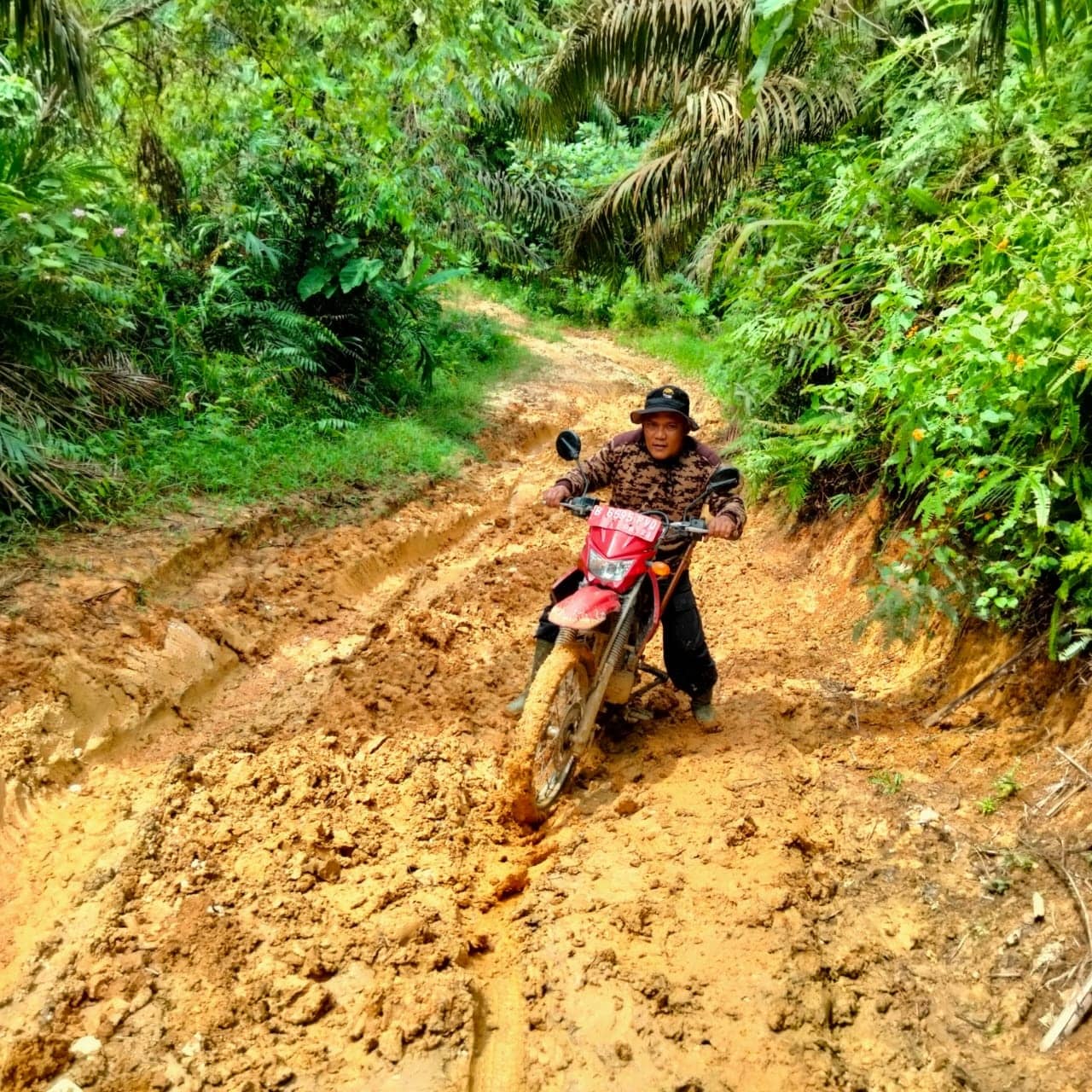 BALAI BESAR KSDA RIAU LAKUKAN MITIGASI KONFLIK SATWA GAJAH
