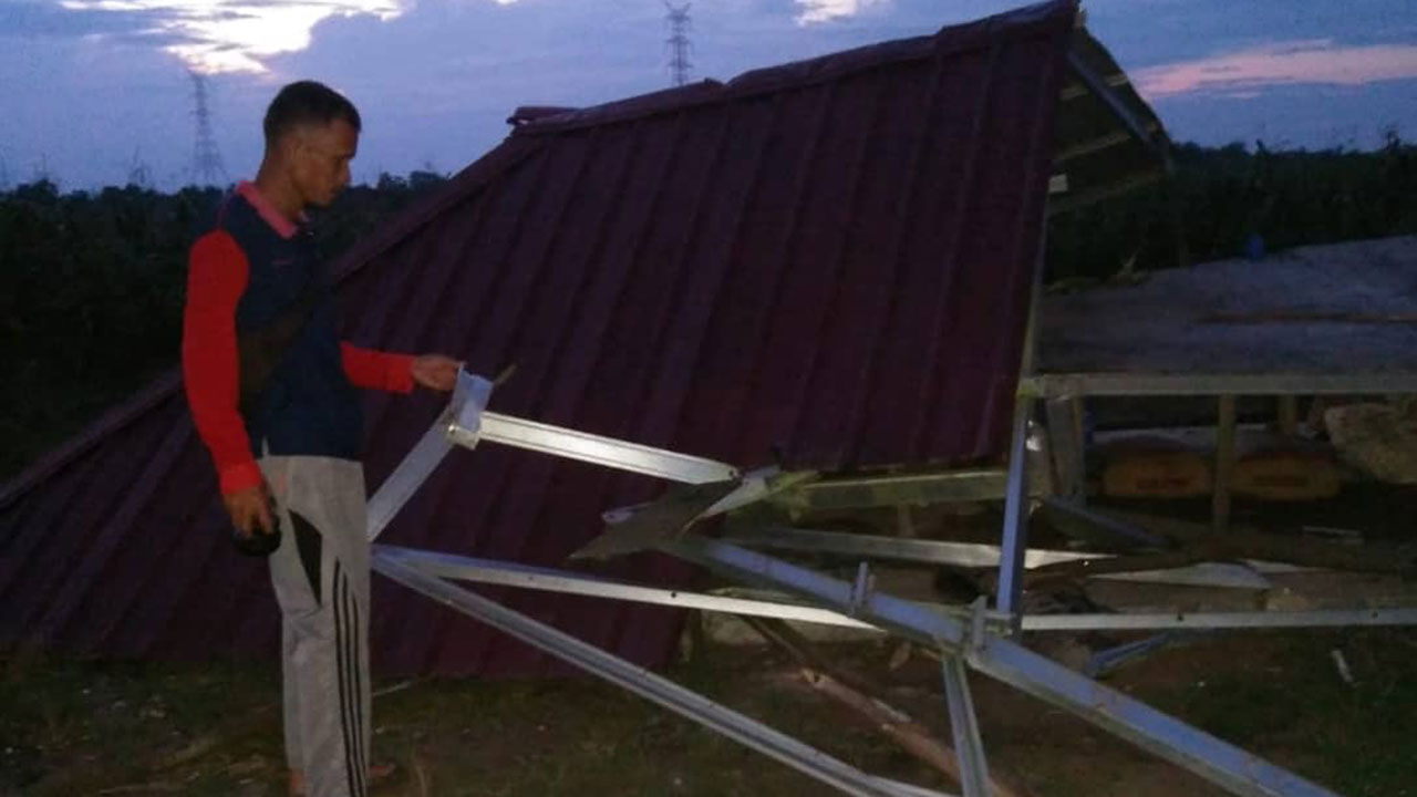 GAJAH LAGI GAJAH LAGI MENGGANGU KEBUN WARGA