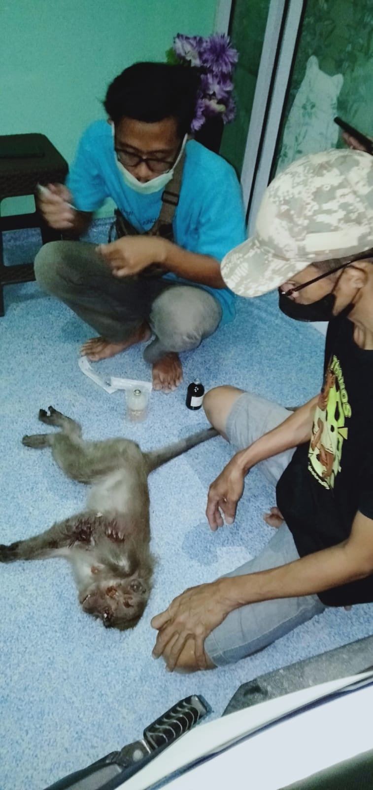 PENANGGULANGAN KONFLIK SATWA KERA EKOR PANJANG DAN MANUSIA DI VIHARA DARMA, PEKANBARU