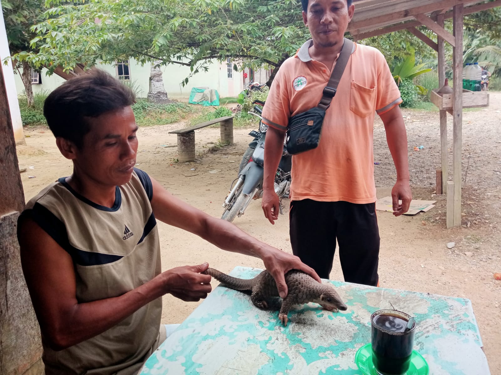 SATWA TRENGGILING YANG DILAPORKAN KEBERADAANNYA OLEH WARGA DI EVAKUASI OLEK TIM BALAI BESAR KSDA RIAU BERSAMA MITRA