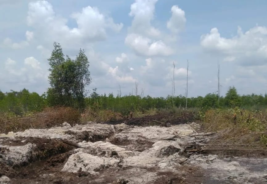 RESORT DURI  BALAI BESAR KSDA RIAU LAKUKAN PATROLI PENGAMANAN KAWASAN SM GIAM SIAK KECIL DAN MENEMUKAN  JEJAK ALAT BERAT YANG MENGARAH MASUK DALAM KAWASAN