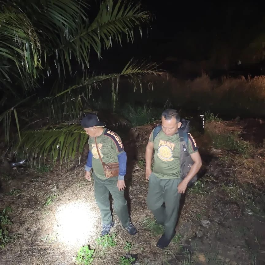 LAGI DAN LAGI RESORT KERUMUTAN SELATAN BALAI BESAR KSDA RIAU MELAKUKAN MITIGASI KONFLIK SATWA LIAR GAJAH SUMATERA