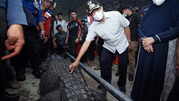 DINAS PEMADAM KEBAKARAN KABUPATEN INDRAGIRI HILIR MENYERAHKAN SATWA DILINDUNGI KEPADA BALAI BESAR KSDA RIAU