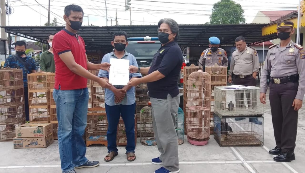 PELEPASLIARAN SATWA BURUNG HASIL TANGKAPAN POLSEK LIMA PULUH KOTA PEKANBARU