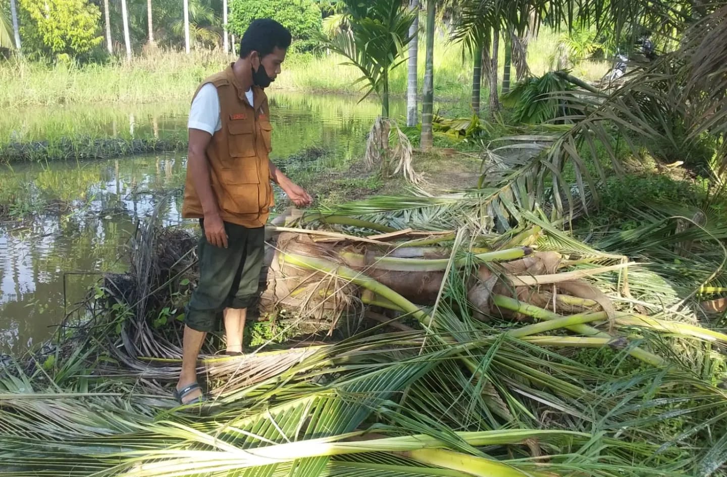 TIM RESORT KERUMUTAN SELATAN BALAI BESAR KSDA RIAU MASIH MELAKUKAN MITIGASI KONFLIK GAJAH SUMATERA