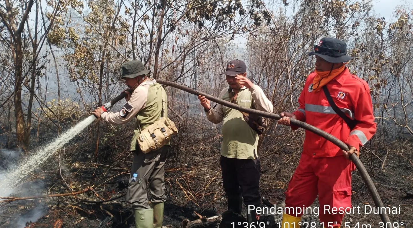 TIM GABUNGAN BALAI BESAR KSDA RIAU PADAMKAN SI JAGO MERAH YANG MELALAP KAWASAN TWA SUNGAI DUMAI
