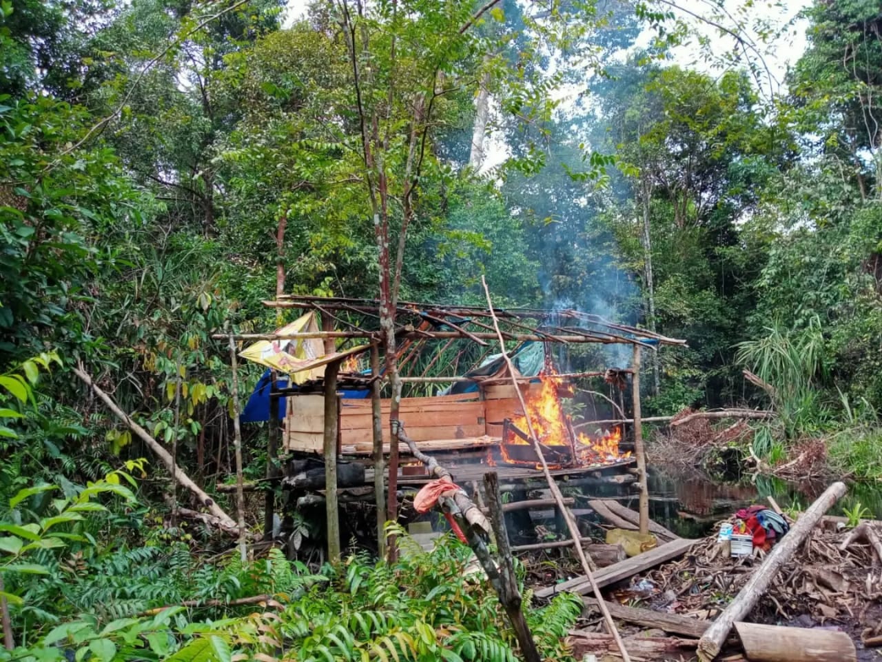 TIM PATROLI PENGAMANAN KAWASAN SM KERUMUTAN BAKAR PONDOK KERJA ILLEGAL LOGGING
