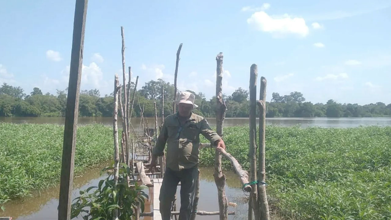 BBKSDA RIAU PANTAU TERUS PERGERAKAN SATWA GAJAH LIAR DIPEMUKIMAN WARGA