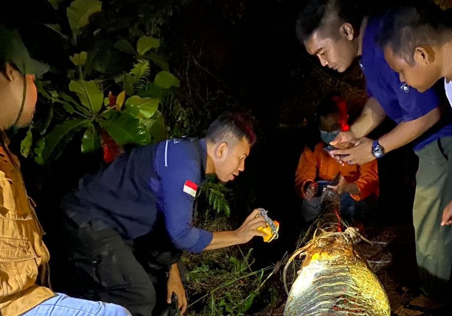 EVAKUASI BANGKAI BUAYA SINYULONG YANG DITEMUKAN SUDAH MATI