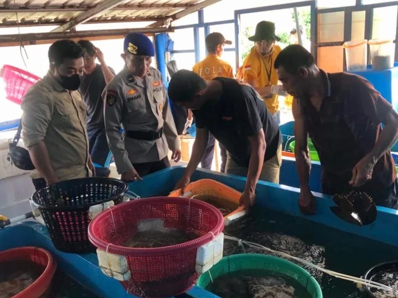 PELEPASLIARAN SUMBER DAYA PERIKANAN DI WILAYAH PERAIRAN PULAU ABANG, KECAMATAN GALANG BARELANG, KOTA BATAM