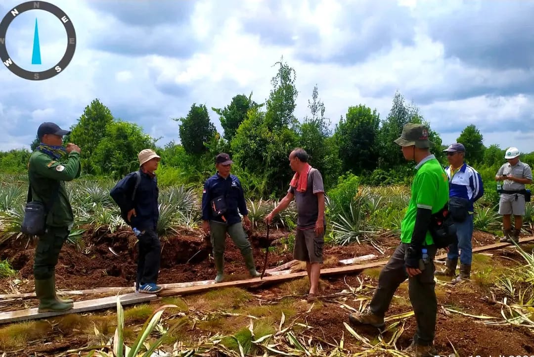 MENYEMPITNYA RUANG HIDUP SATWA DI HABITATNYA MEMBUAT KONFLIK ANTARA MANUSIA DAN SATWA MAKIN MENINGKAT DAN TERUS TERJADI